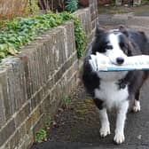 Molly pictured carrying an edition of the Chichester Observer.