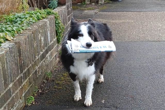 Molly pictured carrying an edition of the Chichester Observer.