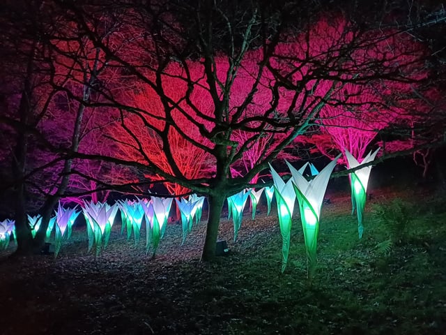 Leonardslee Illuminated is on now and runs on selected dates until December 21, 2023