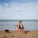 Dog-friendly places in the UK (Photo by CHARLY TRIBALLEAU / AFP)