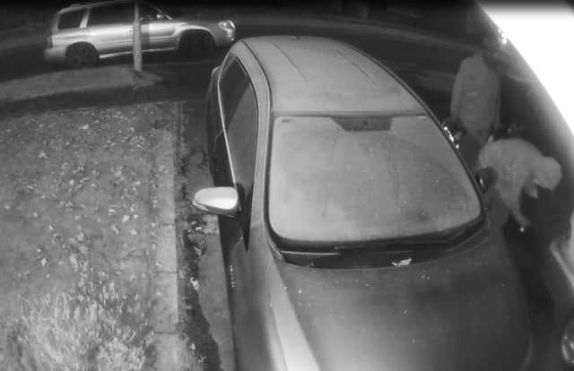 The thieves were caught on CCTV stealing a catalytic converter