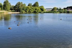 The latest discovery at Worthing’s Brooklands Park comes just two months after a 'pollution incident' caused the death of dozens of fish and eels in the same location. Photo: Google Maps