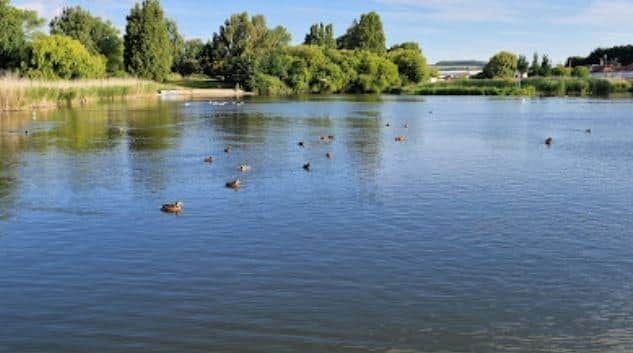 The latest discovery at Worthing’s Brooklands Park comes just two months after a 'pollution incident' caused the death of dozens of fish and eels in the same location. Photo: Google Maps
