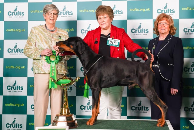 Mandy Everley with Archie, a Dobermann, who won the Best in Group (Working).