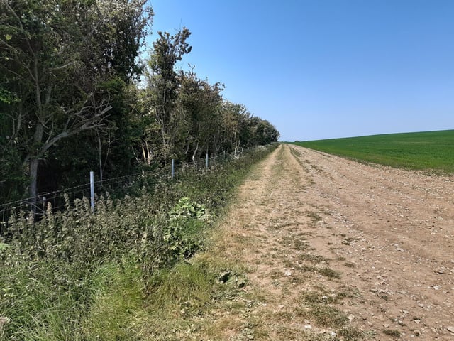 Continue to follow the path along the line of the fence