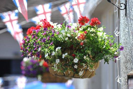 Petworth In Bloom: In Pictures