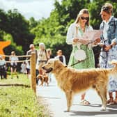 Goodwoof dog festival is back this May