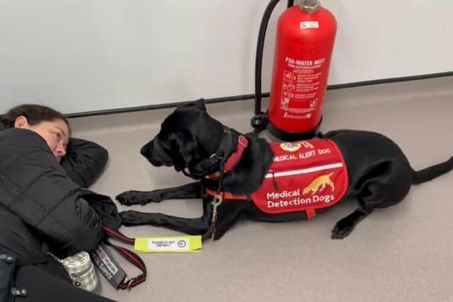Laura takes action after an alert from Mae. Lying down means Laura can faint without worry and avoid injuries.