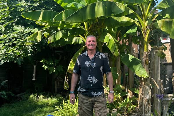 Barry Trevena with his banana tree