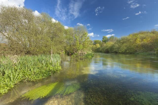 River Itchen at Ovington, Hampshire, by Guy Edwardes SDNPA