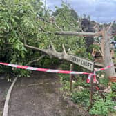 'Mini tornado' hits Littlehampton