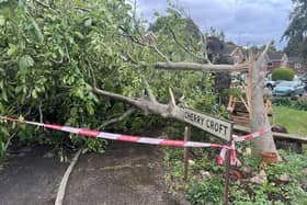 'Mini tornado' hits Littlehampton