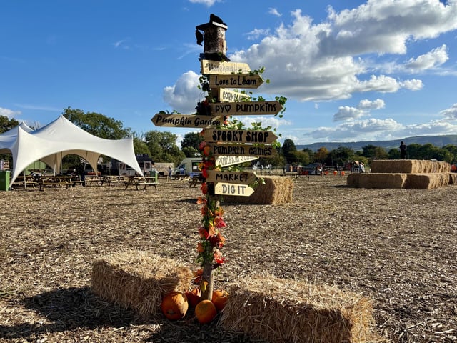A popular pumpkin patch in Rogate has returned, with visitors invited to pick pumpkins and explore a range of autumn-themed activities.