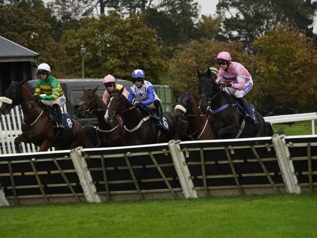 Fontwell Park jump racing action, October 2026