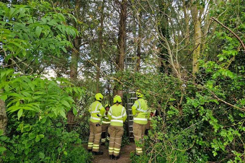 Firefighters in Shinewater Park, Eastbourne