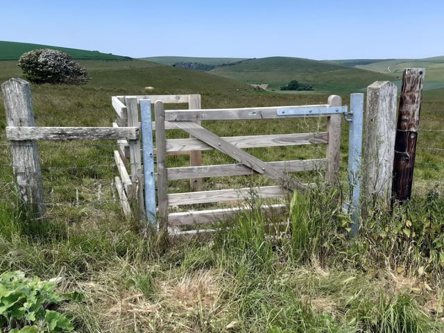 You will go on through the crops to a gate.