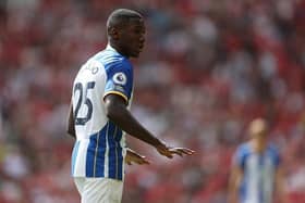 Brighton's Ecuador international Moises Caicedo impressed against Manchester United on the opening day of the season and will likely feature for his country at the Qatar World Cup