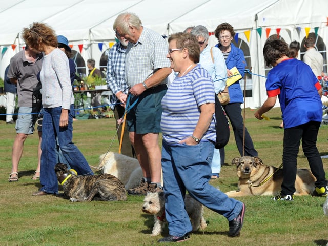 Umbrella Events is holding a charity family fun day and fun dog show will be held at Clapham and Patching Village Hall on Saturday, August 20, from 11am to 4pm. There will be a gin bar, sand art, food and cream teas. Meet a Storm Trooper and see miniature ponies.