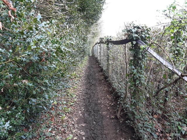 Walk on, with the woods on your left and a field on the right.