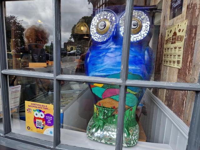 Colourful owls have flown into Arundel as part of the Wild in Art event The Big Hoot trail, raising money for Chestnut Tree House.