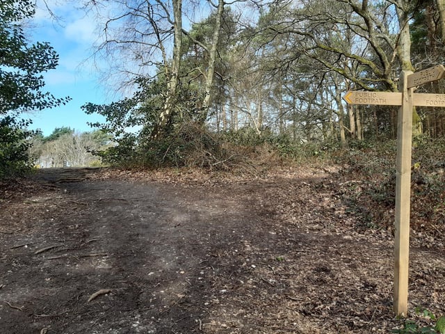 You will come to a three-way public footpath sign. To the right is another route to Water Lane and to the left is a way back to Washington Road.