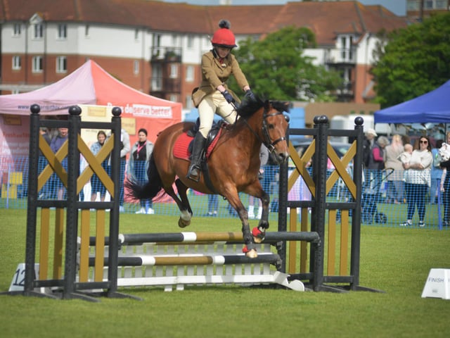 Bexhill Horse & Dog Show 2024.