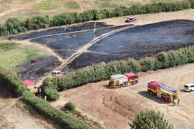 The fire damaged field