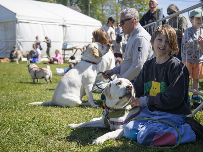 The fun dog show. Photo: Beth Wild/ SEAS