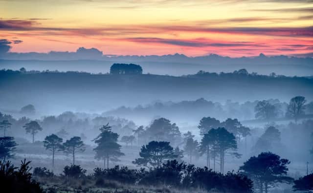Ashdown Forest taken by Nextdoor’s #LoveYourNeighourhood 2022 Winner, David Brooker, Crowborough, East Sussex