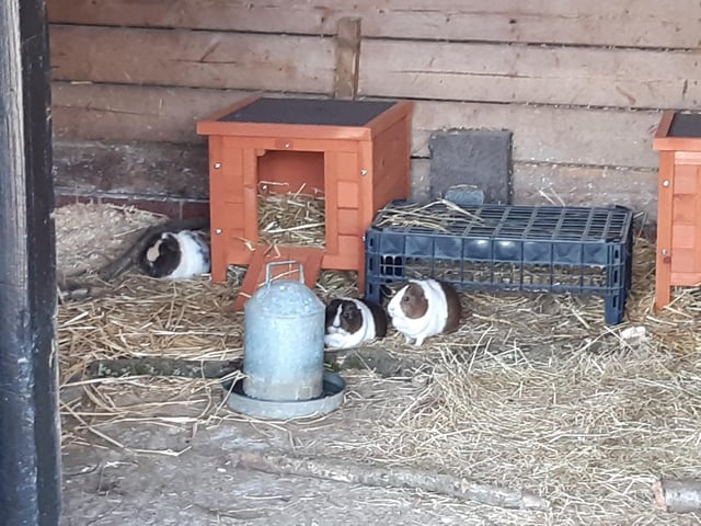 Tilgate Nature Centre