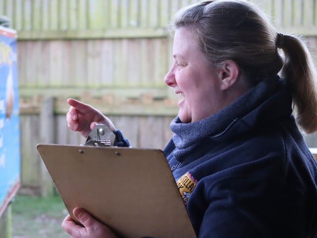 Head Zookeeper Gemma doing a stocktake count