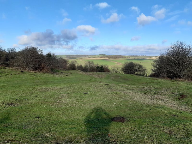 Then take a left turn and start to go downhill, with the bank of trees on your left. Use my shadow as an arrow and follow where I am pointing!