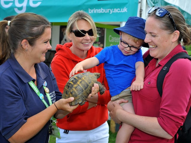 The South of England Show 2022 at Ardingly