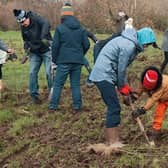 Volunteers at Treebourne are inviting residents to help care for tress that they planted in Eastbourne on New Year’s Eve in 2022. Picture: Eastbourne Borough Council