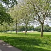 Homefield Park in Worthing. Picture: Worthing Borough Council