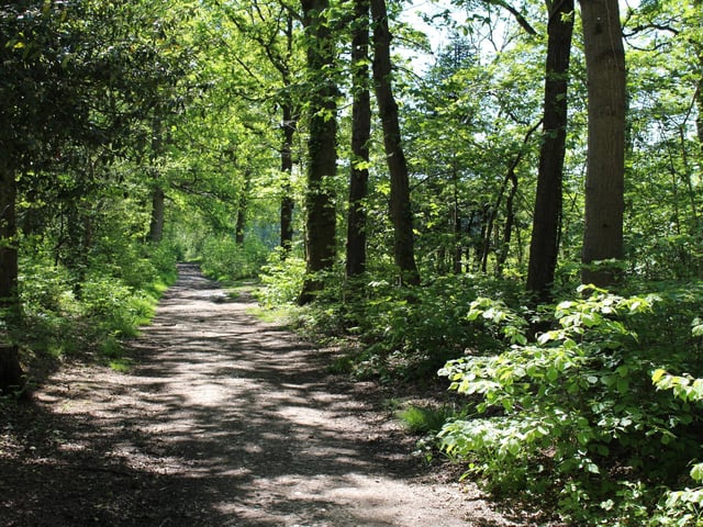 Havant Thicket, where work is taking place to create a new reservoir.
