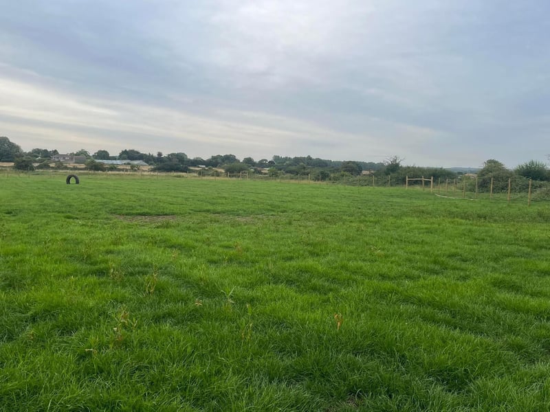 The field is three-acres and perfect for dogs to have a run around.