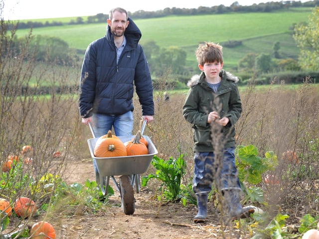 The popular Sompting Pumpkins picking patch