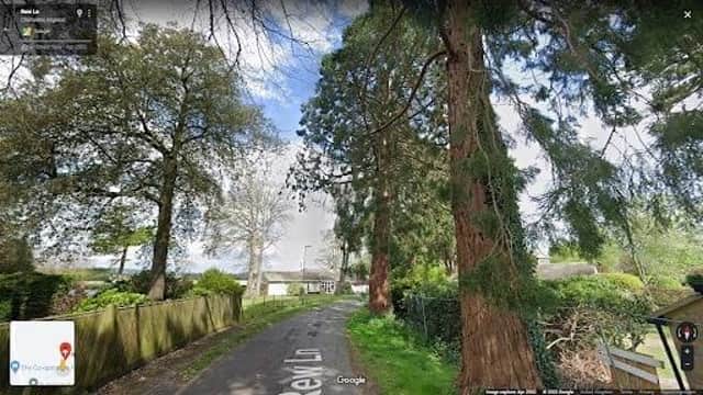 The potential felling of two Redwood trees on a Chichester street has sparked controversy amongst local residents, both in favour of felling and keeping the trees.