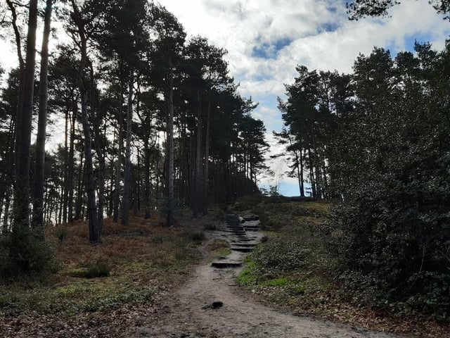 Follow the path ahead and you will come to the steps on your left as you head into the clearing.
