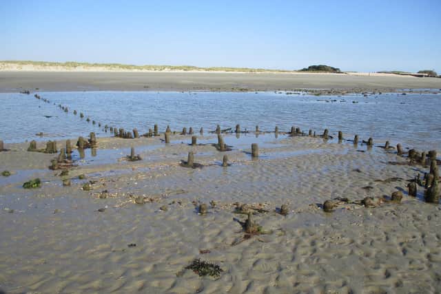 The fish traps having emerged from beneath the sand. Picture via the National Trust