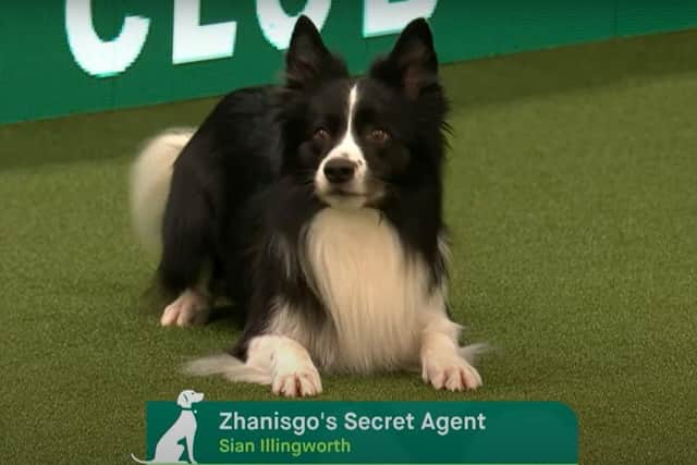 Agent