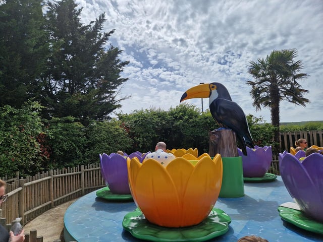 Drusillas offers animals, rides, play areas and more for families from Sussex and beyond