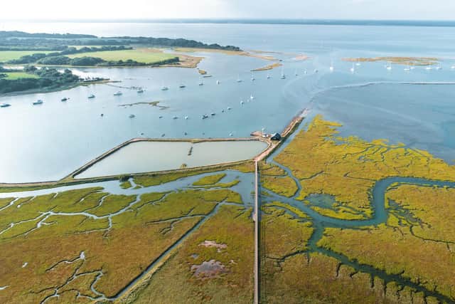Stunning views and natural habitats