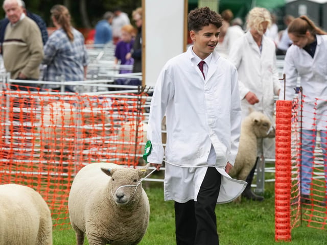 Findon Sheep Fair 2026