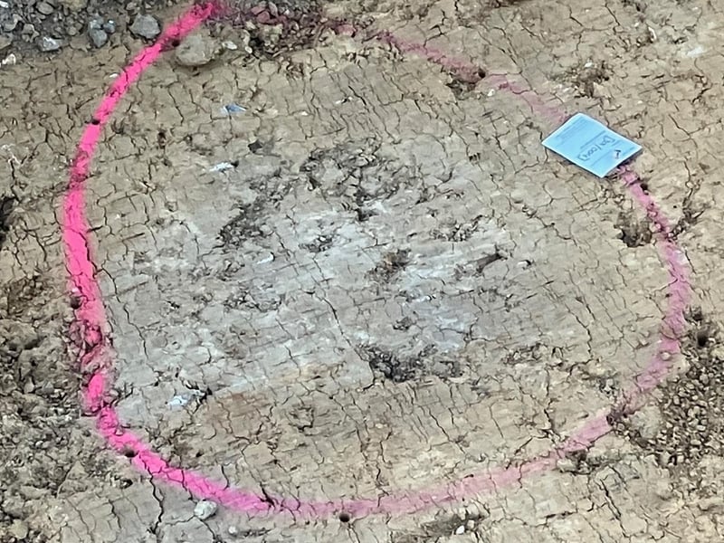 Photos taken in August 2022 on land in Tangmere earmarked for the 1,300 homes in August 2022 during an archaeological dig