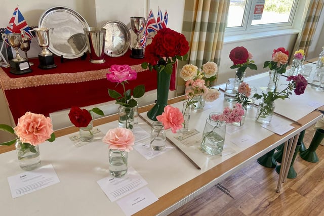 Entries for the cut flower and flower arrangement section of the village show