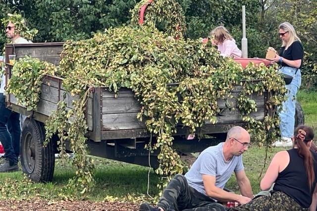 Udimore Hop Festival