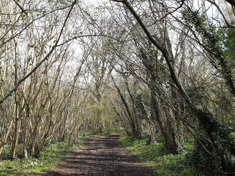 Keep following the path until you come to an open field.