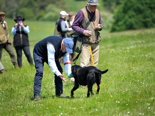 Saturday at Goodwoof 2023. Pic S Robards SR2305201